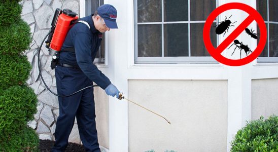 Dazkırı Gümüşkurt İlaçlama böcek ilaçlama ve haşere kontrolü — ilaclama-tr.com